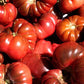 40 PURPLE CALABASH TOMATO Solanum Lycopersicum Indeterminate Heirloom Beefsteak Fruit Vegetable Seeds