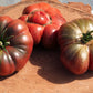 40 PURPLE CALABASH TOMATO Solanum Lycopersicum Indeterminate Heirloom Beefsteak Fruit Vegetable Seeds