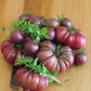 40 PURPLE CALABASH TOMATO Solanum Lycopersicum Indeterminate Heirloom Beefsteak Fruit Vegetable Seeds