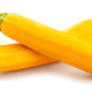 50 GOLDEN ZUCCHINI Heirloom Summer Bush Squash Cucurbita Pepo Yellow Vegetable Seeds