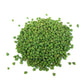 25 GREEN CHICK PEA Chickpea aka Garbanzo Bean Green Chana Cicer Arietinum Legume Vegetable Seeds