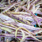 50 DRAGON TONGUE Wax BEAN Yellow & Purple Dragon's Tongue Phaseolus Vulgaris Legume Vegetable Seeds