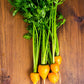 800 PARISIAN CARROT Parisienne Carrot Daucas Carota Sativus Orange Vegetable Seeds