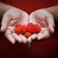 20 AUSTRALIAN RASPBERRY aka Queensland & Atherton Raspberry Rubus Probus Red Berry Fruit Shrub Seeds