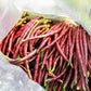 100 RED RIPPER COWPEA Cow Pea Southern Pea Vigna Unguiculata Legume Bean Vegetable Seeds