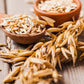 250 Certified ARMOR OAT Oats Avena Sativa Cereal Grain Seeds