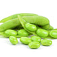 20 Organic MIDORI GIANT SOYBEAN Edamame Glycine Max Green Bean Legume Vegetable Seeds
