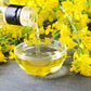 1000 ' WICHITA ' Winter CANOLA Brassica Napus Rape Oilseed Cover Crop Seeds