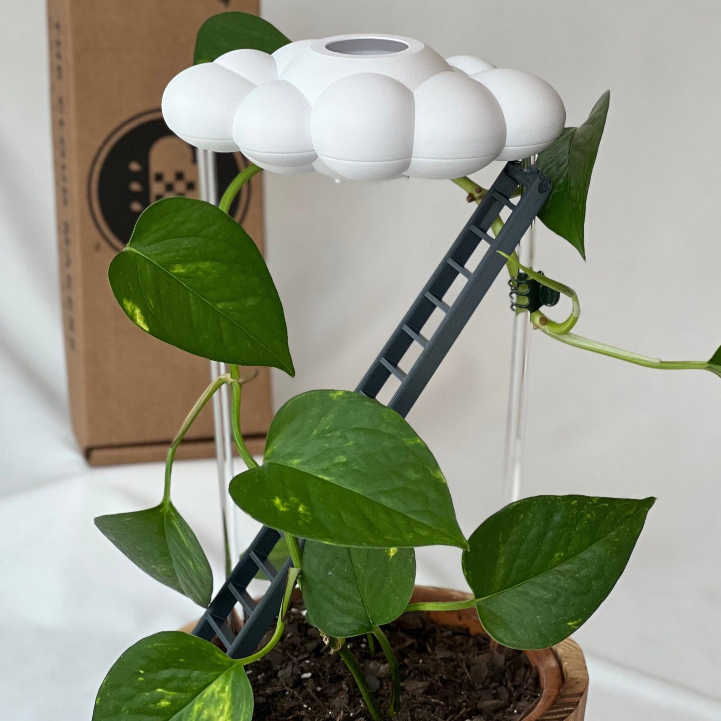 Original Dripping Rain Cloud with Ladder Charm