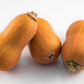 25 Organic HONEYNUT SQUASH aka Honey Butternut Squash Sweet Cucurbita Moschata Baby Buttercup Tan Skin Orange Flesh Seeds