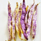 50 DRAGON TONGUE Wax BEAN Yellow & Purple Dragon's Tongue Phaseolus Vulgaris Legume Vegetable Seeds