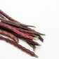 100 RED RIPPER COWPEA Cow Pea Southern Pea Vigna Unguiculata Legume Bean Vegetable Seeds