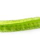 50 ASPARAGUS PEA Winged Pea Lotus Tetragonolobus Red Flower Legume Vegetable Seeds