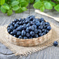 20 DWARF BILBERRY Vaccinium Caespitosum Dwarf Blueberry Whortleberry Pink Flower Blue Berry Fruit Evergreen Shrub Seeds
