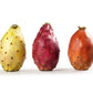10 Orange PRICKLY PEAR CACTUS Nopal Indian Fig Opuntia Ficus-Indica Fruit Flower Seeds
