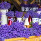 20 DWARF MUNSTEAD LAVENDER Blue English Lavandula Angustifolia Munstead Purple Fragrant Flower Herb Seeds