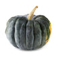 20 BLACK FUTSU SQUASH Multicolored Wrinkly Skin Gold Flesh Japanese Heirloom Pumpkin Ornamental Edible Cucurbita Moschata Vegetable Seeds