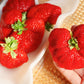 15 GIANT STRAWBERRY Fragaria spp June Bearing Huge Red Berry Fruit White Flower Seeds