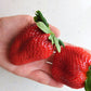 15 GIANT STRAWBERRY Fragaria spp June Bearing Huge Red Berry Fruit White Flower Seeds