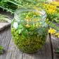 15 CHURCH STEEPLES Agrimonia Eupatoria aka Agrimony or Sticklewort Perennial Herb Yellow Flower Seeds