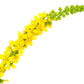 15 CHURCH STEEPLES Agrimonia Eupatoria aka Agrimony or Sticklewort Perennial Herb Yellow Flower Seeds