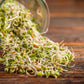 ORGANIC SPROUTING MIX - Peas, Mung & Adzuki Beans, Green, French, & Red Lentil Vegetable Sprout Seeds