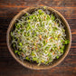 ORGANIC SPROUTING MIX - Peas, Mung & Adzuki Beans, Green, French, & Red Lentil Vegetable Sprout Seeds