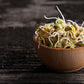 ORGANIC SPROUTING MIX - Peas, Mung & Adzuki Beans, Green, French, & Red Lentil Vegetable Sprout Seeds