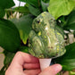 Open-Mouth Frog Plant Watering Spike