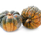 20 BLACK FUTSU SQUASH Multicolored Wrinkly Skin Gold Flesh Japanese Heirloom Pumpkin Ornamental Edible Cucurbita Moschata Vegetable Seeds