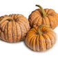 20 BLACK FUTSU SQUASH Multicolored Wrinkly Skin Gold Flesh Japanese Heirloom Pumpkin Ornamental Edible Cucurbita Moschata Vegetable Seeds