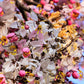 5 PINK SHOWER TREE Cassia Javanica aka Rainbow Shower & Apple Blossom Tree Two Tone Pink, White, Yellow Flower Seeds