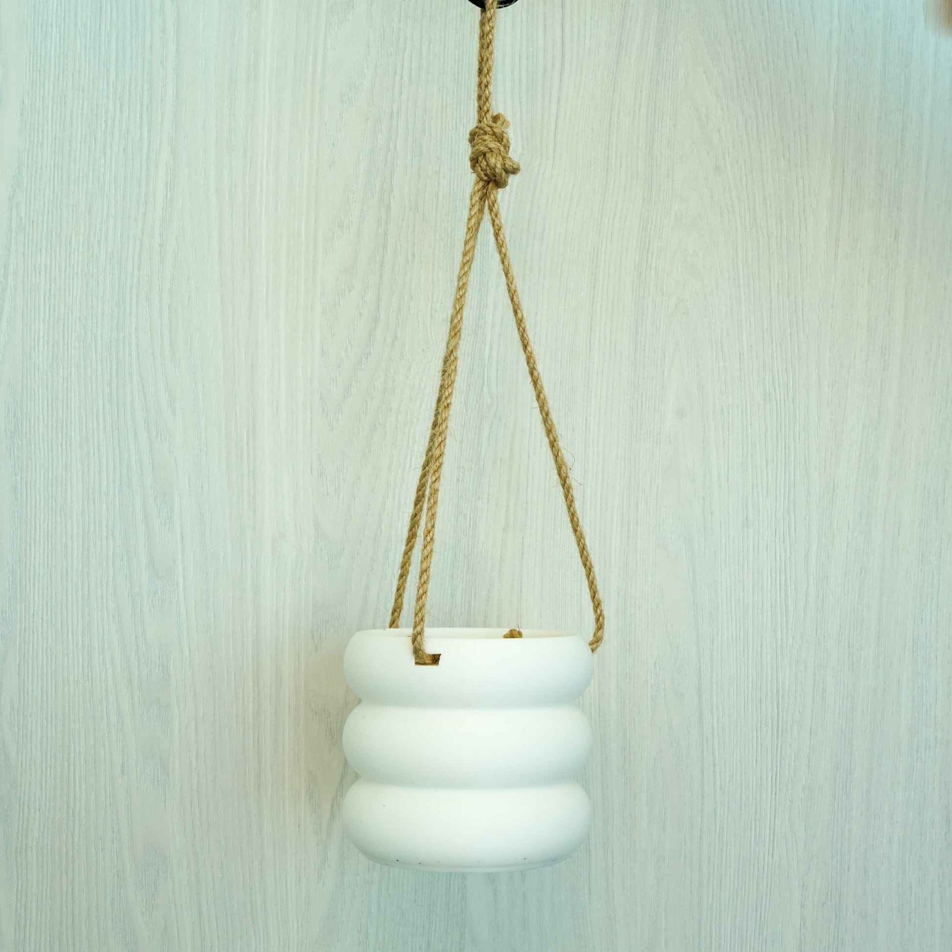 hanging bubble plant Hanging Bubble Plant Pot Green / 6 Inch + Drainage