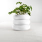 Hanging Bubble Plant Pot