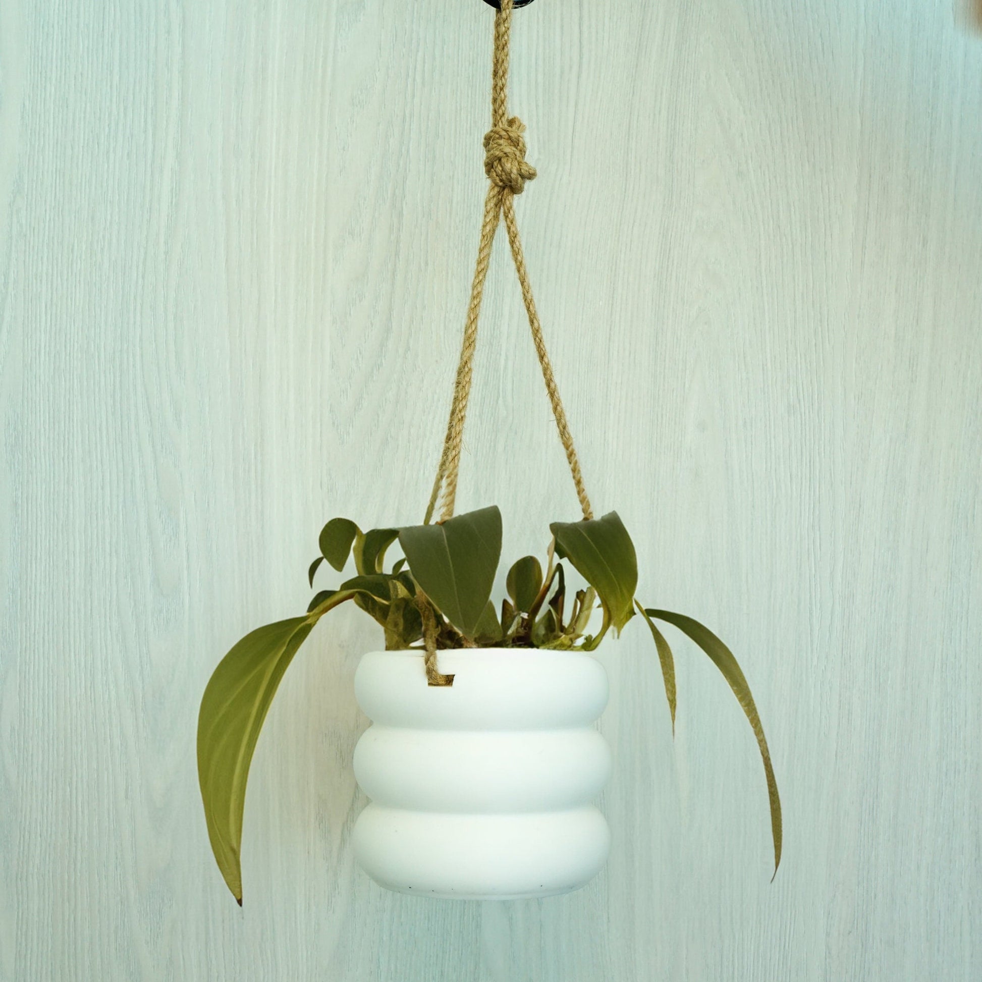 Hanging Bubble Plant Pot Green / 6 Inch + Drainage