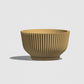 Bonsai Pot with Drainage & Tray