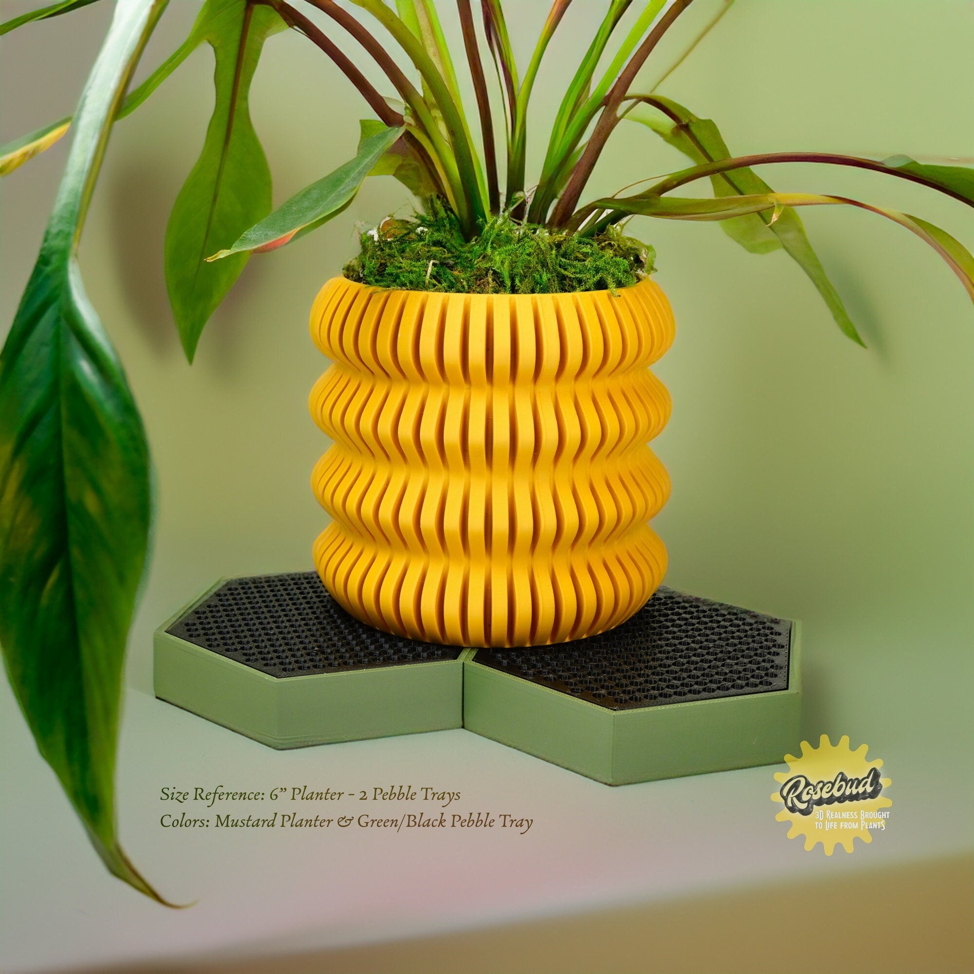 Water Humidity Tray for Houseplants, Includes Pebbles – Orchid Stuff Plus