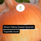 200 Yellow Spanish Sweet Onion Seeds – Allium cepa – Heirloom, Large & Mild, High-Yielding, Perfect for Cooking