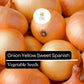 200 Yellow Spanish Sweet Onion Seeds – Allium cepa – Heirloom, Large & Mild, High-Yielding, Perfect for Cooking