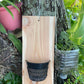 Handmade indoor/outdoor Orchid mount kit on a cedar shingle with a 5-inch mesh pot. BEST SELLER!