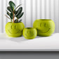 Happy Sprout Smiley Face Plant Pot with Drainage and Drip Tray  Cute Ghibli Decor Planter | Kawaii Hypebeast Pots for Plants | Cubicle & Classroom Decor