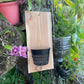 Handmade indoor/outdoor Orchid mount kit on a cedar shingle with a 5-inch mesh pot. BEST SELLER!