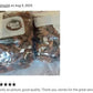 Orchid Potting Mix Sampler: Coconut Husk, Charcoal, Perlite Blend, 1 quart