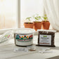 Papaya Grow Kit | Grow Your Own Papaya from Seed | Seeds In A Cup®