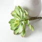 6" Faux Soft Aeonium Succulent Pick