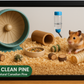 Pestell Pet Products Easy Clean Small Animals Pine Bedding 20L