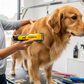 ConairPRO Dog Cat 11-Piece Grooming Kit - Professional Home Clipper All Breeds