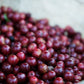 Costa Rica Café Vida Lavado