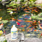 Kordon Pond Amquel Liquid 16oz - Complete Water Detoxifier for Fresh & Saltwater Aquariums 2-Pack