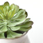 6" Faux Soft Aeonium Succulent Pick